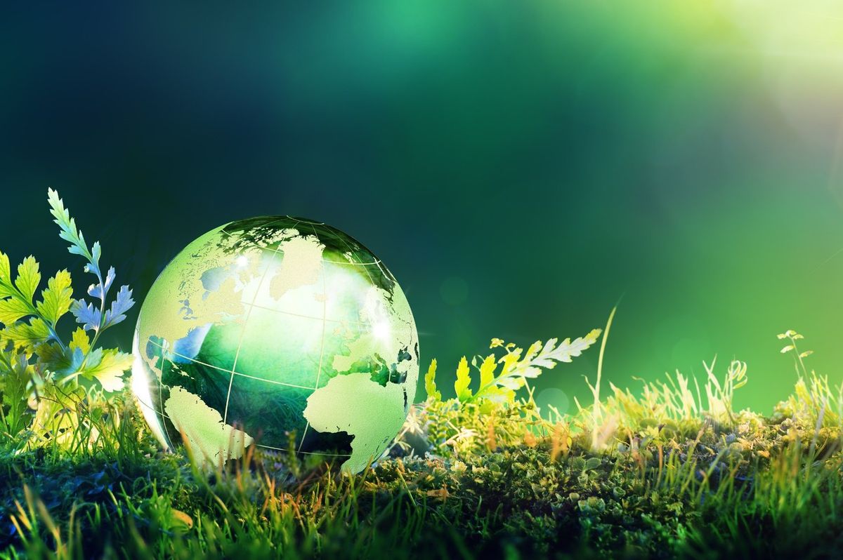 A globe sitting among leaves