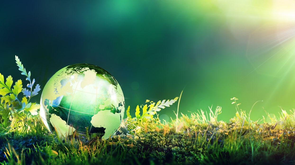 A globe sitting among leaves
