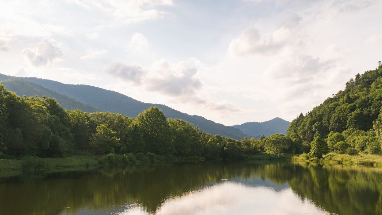 A lake surrounded by trees in the mountains