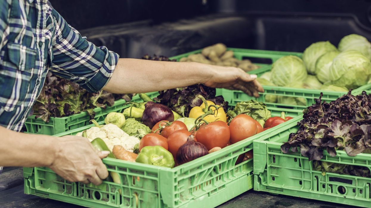 A man picks up a crate of fresh vegetables