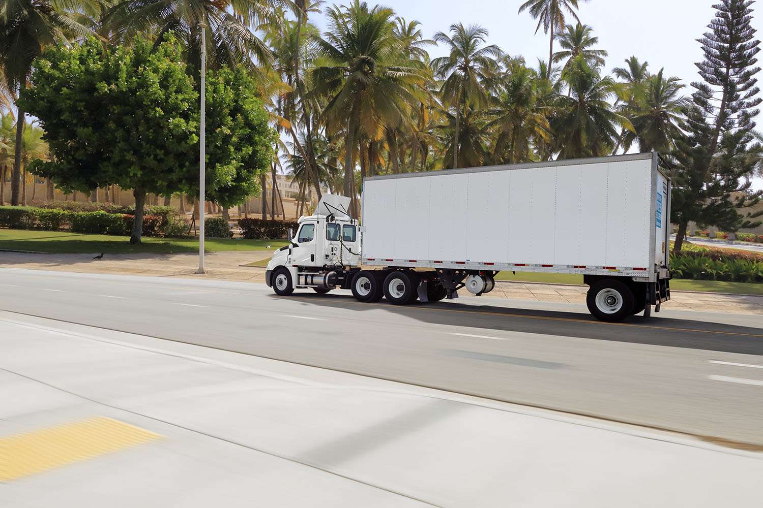 A used white semi-truck drives along a street lined with palm trees.