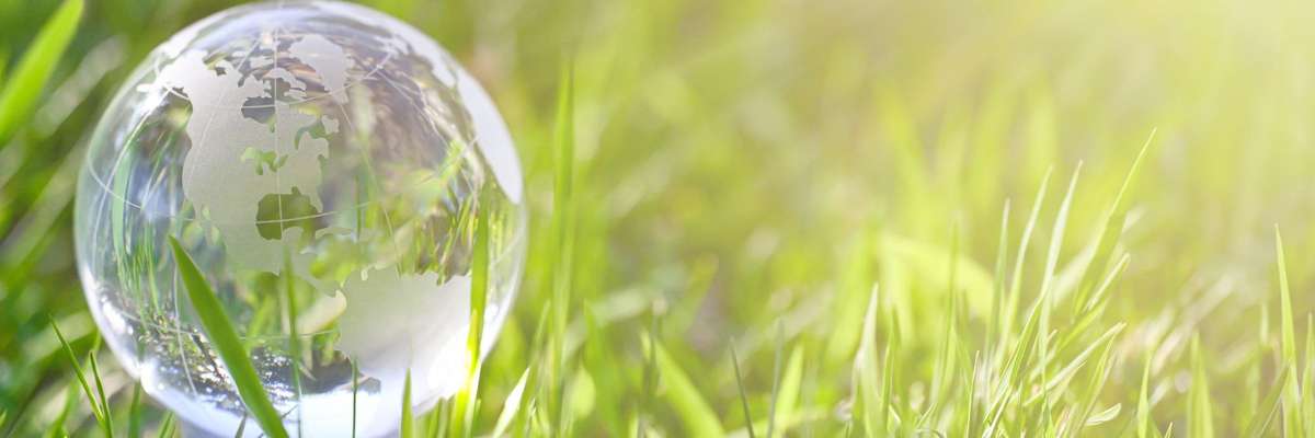 Clear globe on grass related to sustainability