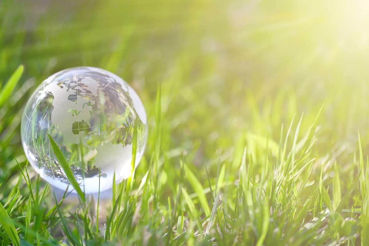 Clear globe on grass related to sustainability