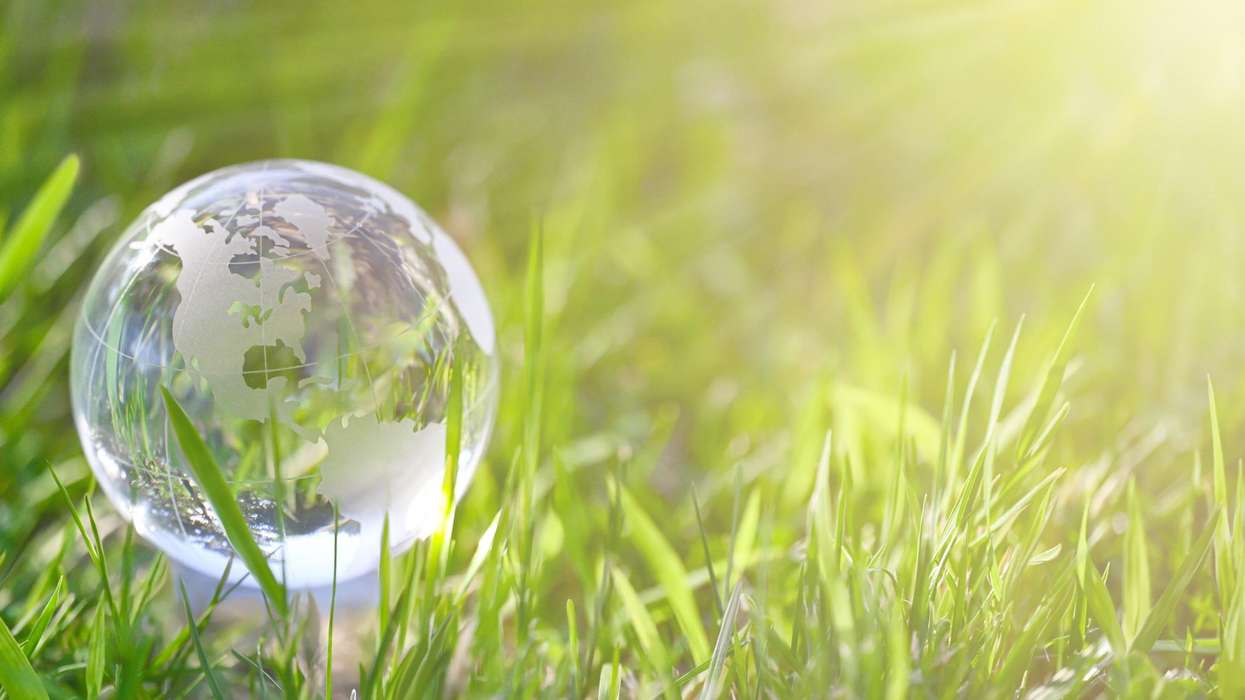 Clear globe on grass related to sustainability