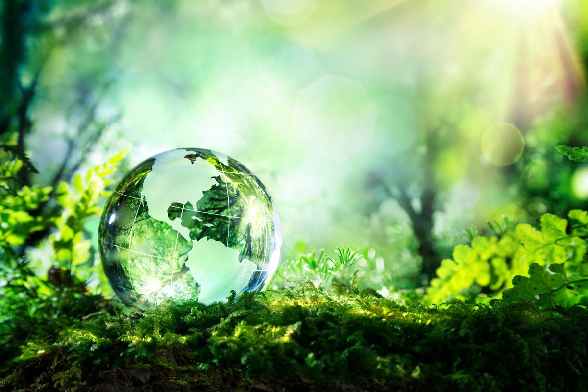 clear globe