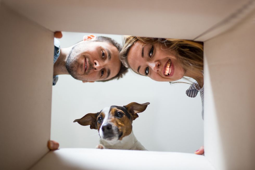 
Make Moving with Pets a Walk in the Park
