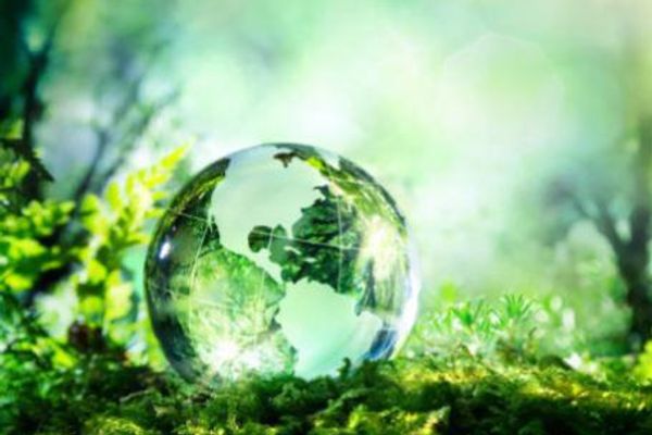 Penske Supports 8th Annual Tree Day in Tennessee
