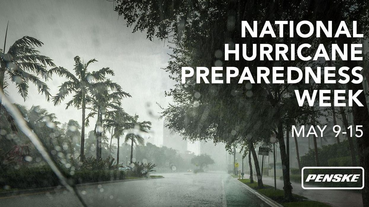 stormy scene with palm trees